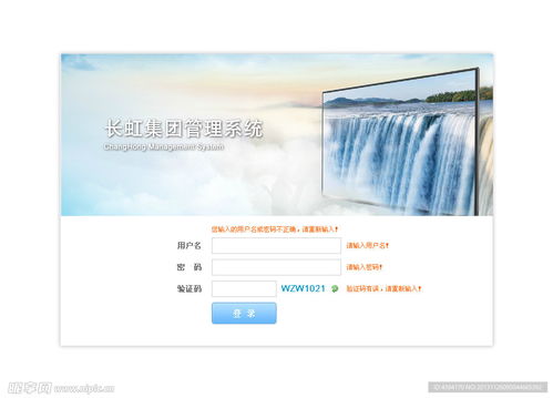 長(zhǎng)虹集團(tuán)管理登錄頁(yè)面設(shè)計(jì)圖 web界面設(shè)計(jì)