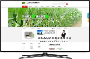 松江網站建設與山西網站發展 行業對比與專業服務解析